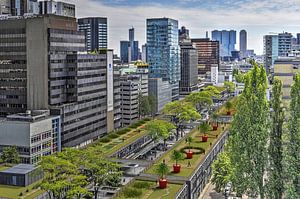 De High Line Baan in Rotterdam