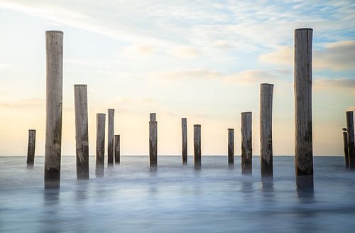 Palmendorf Petten bei Sonnenuntergang.