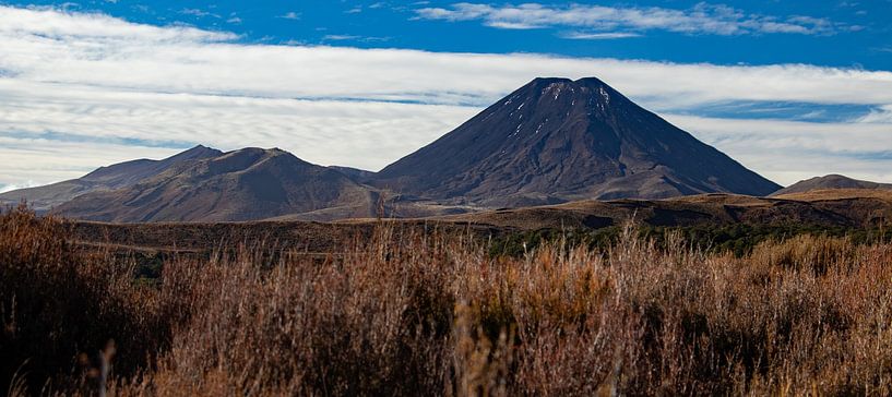 Tongariro-Nationalpark, Mount Doom von Nynke Altenburg
