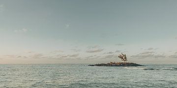 A view you will never be bored of, Mauritius by Jonas Röjestål