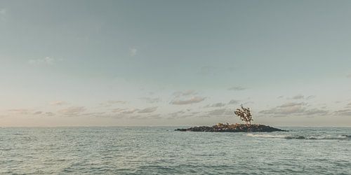 Eine Aussicht, die nie langweilig wird, Mauritius