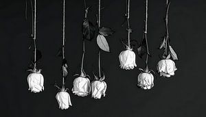 Minimalistisch Stilleven.  Verwelkte zwart-wit Rozen