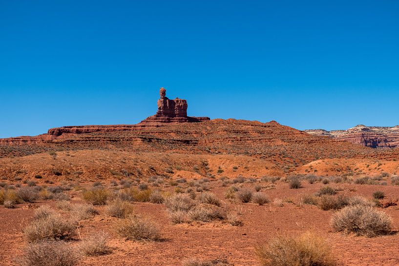 Valley of the Gods, Utah von Richard van der Woude