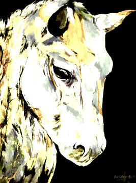 White Horse van Eberhard Schmidt-Dranske