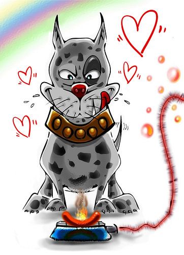 Barbecues voor honden