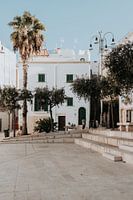 Italien | Apulien | Bari | Pastellfarbenes italienisches Haus | Palme