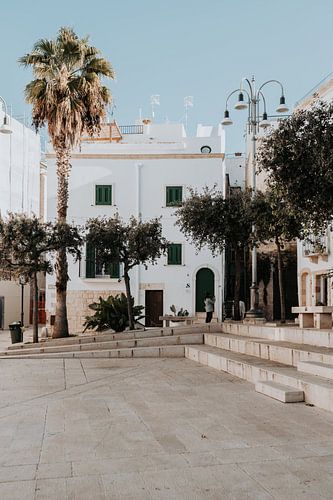 Italy | Puglia | Bari | Pastel italian house | palm tree