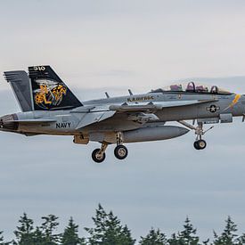 Landende U.S. Navy Boeing EA-18G Growler. van Jaap van den Berg