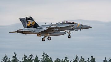 Landende U.S. Navy Boeing EA-18G Growler. van Jaap van den Berg