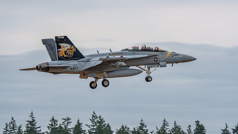 Landing U.S. Navy Boeing EA-18G Growler. by Jaap van den Berg