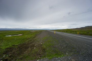 Islande - Autoroute à travers des paysages verdoyants avant les montagnes blanches sur adventure-photos