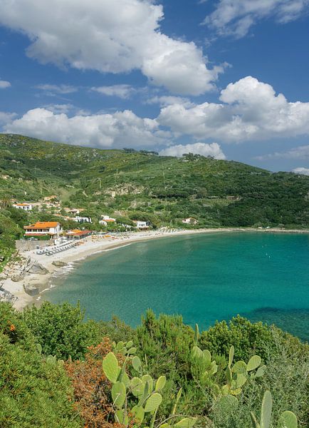 Urlaubsort Cavoli auf Elba von Peter Eckert