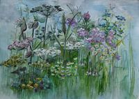 Wild Flowers