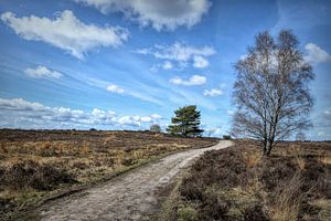 Landschaftsfoto Veluwe