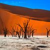 chauve, arbres anciens dans Deadvlei, la Namibie sur Rietje Bulthuis