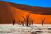  kahle, alte Bäume in Deadvlei, Namibia von Rietje Bulthuis