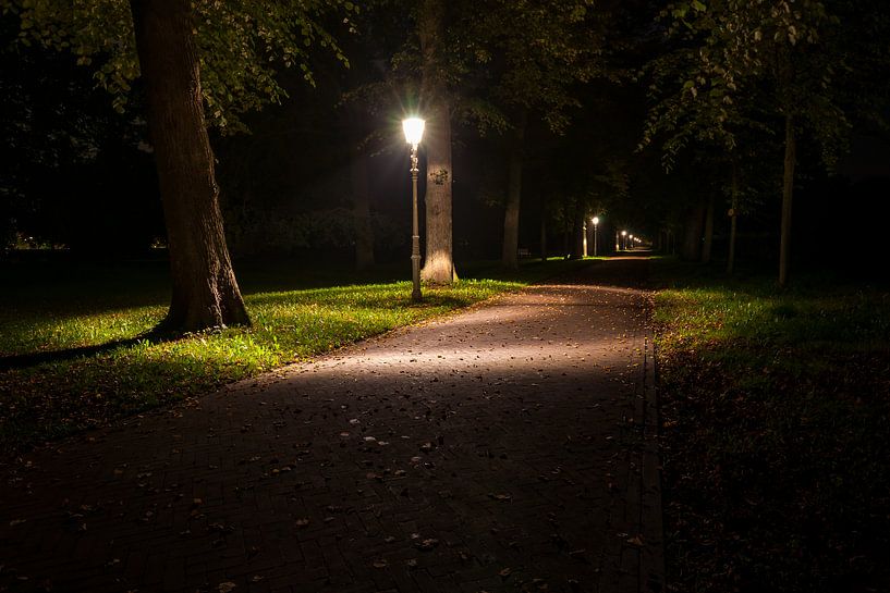 A lonely evening in the park by Fotografiecor .nl