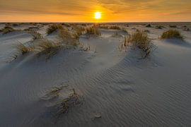 sunset by jeffrey jacobs