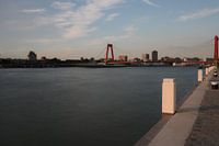 le quai de la nouvelle Meuse avec vue sur le Willemsbrug à Rotterdam