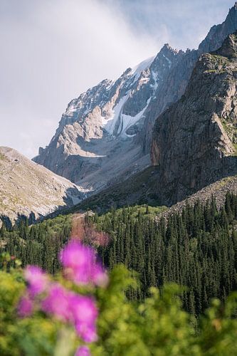 Ala Archa National Park, Kirgizië