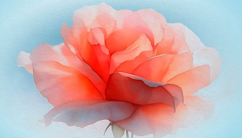 Romantic painting of a Red Rose by Studio Pieternel