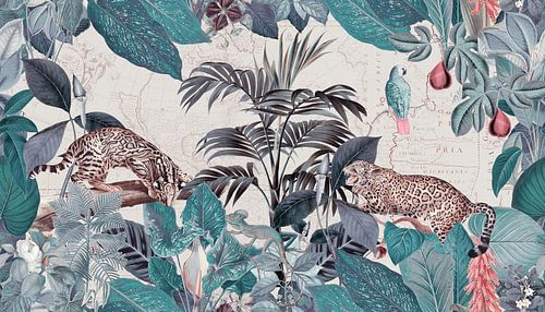 In het paradijs van de wilde cheetahs