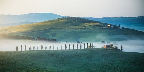 Italy Tuscany Val d'Orcia in the fog