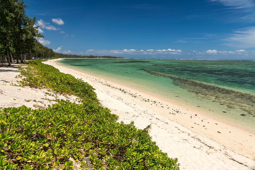 Traumstrand Mauritius von Peter Schickert