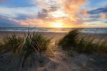 Sunset Beach von Steffen Gierok