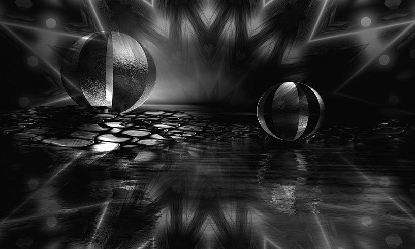 Duo - Schwarz-weiss von Dagmar Marina