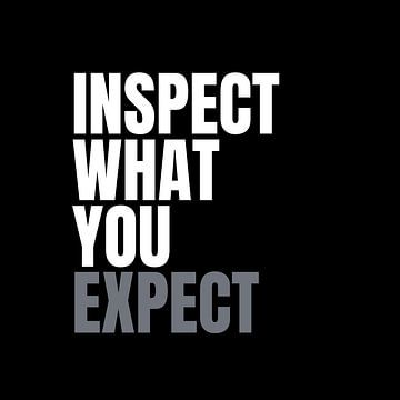 Inspect What You Expect von Rooie Dries
