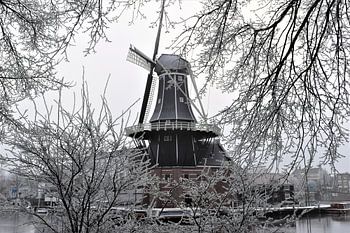Molen de Adriaen