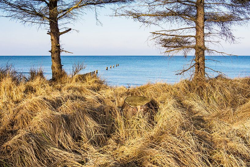 Strand an der Ostseeküste bei Graal Müritz van Rico Ködder