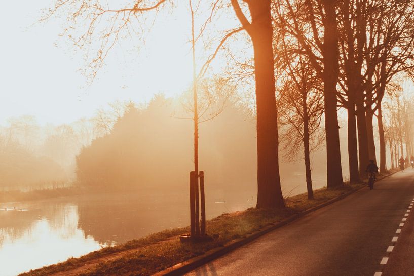 Mistige ochtend op de Westbroekweg in Den Haag van Anne Zwagers