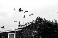 Nostalgia of an authentic Dutch village