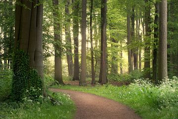 Lente fluisteringen van Roelie Steinmann