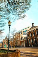 Zomers plaatje Martini Kerkhof