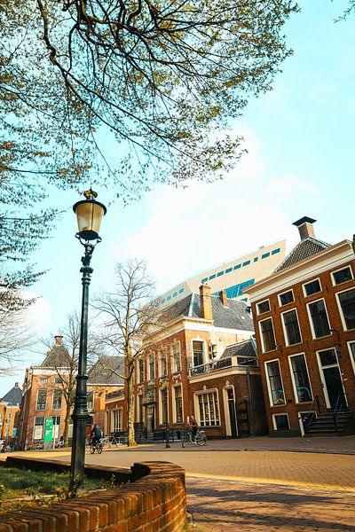 Zomers plaatje Martini Kerkhof van Stadspronk