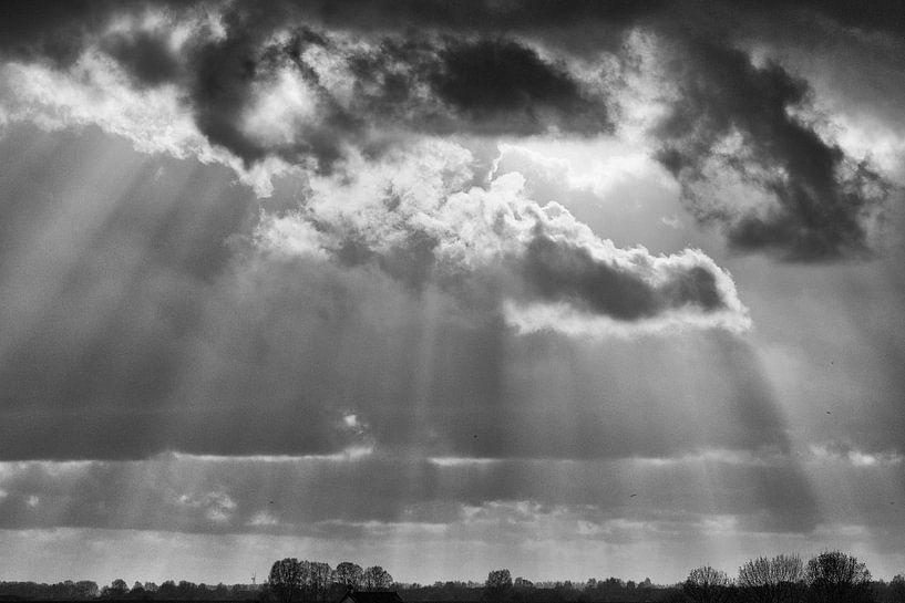 sunray by Maja Ooms