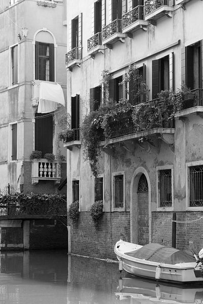 Venice by heidi borgart