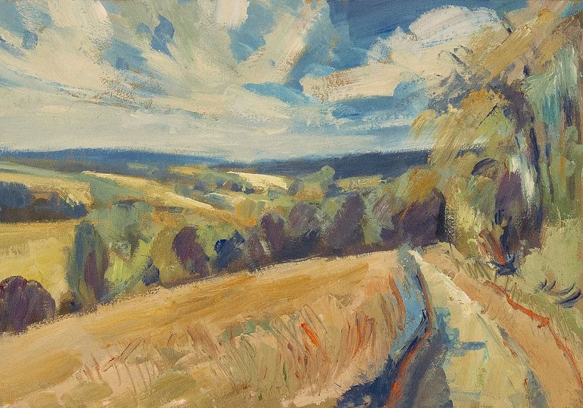 Field road by Nop Briex