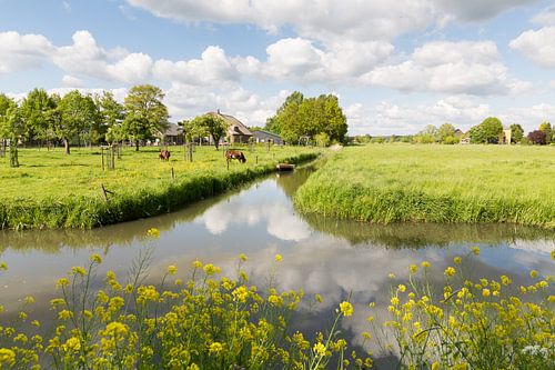 Het landschap van de Langbroekerwetering