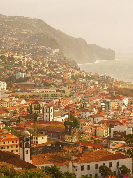 Funchal, Madeira von Michel van Kooten