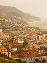 Funchal, Madeira von Michel van Kooten Miniaturansicht