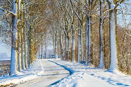 Centuries-old road by Ivo de Rooij
