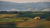 Landhuis in Val d'Orcia, Toscane van Felix Sedney thumbnail