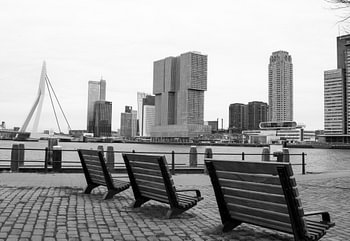 Rotterdam, ligne d'horizon