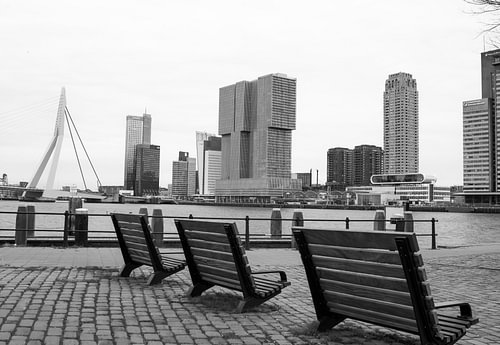 Rotterdam, ligne d'horizon