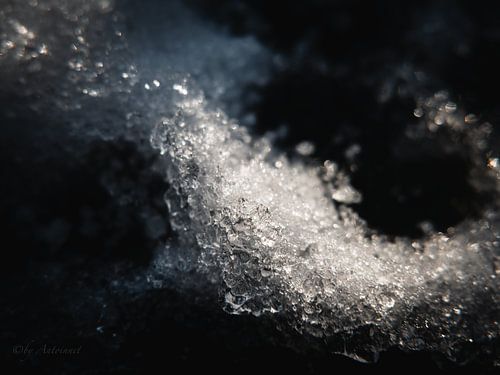 Entre le froid et l'éclat&quot ;