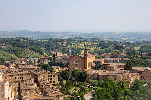 Uitzicht over Siena vanaf de Torre del Mangia (Italië, Toscane) I